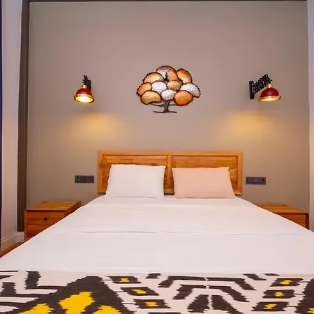 High Ceiling Stylish Daire