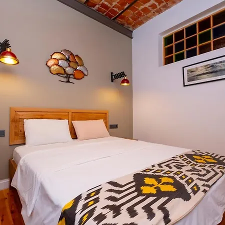 High Ceiling Stylish Daire *