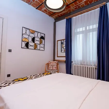 High Ceiling Stylish Daire *